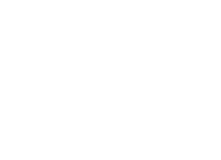 Berkovich Group Logo